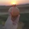 Amedoske