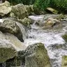 Metehant