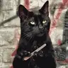 karakedim