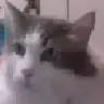 soykanb