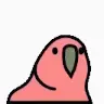 ejdermail