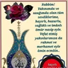 mizan571