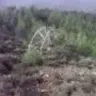 Nacreseng