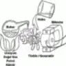 tanju22