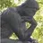 hh.aydemir