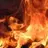 losa