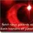 metelik