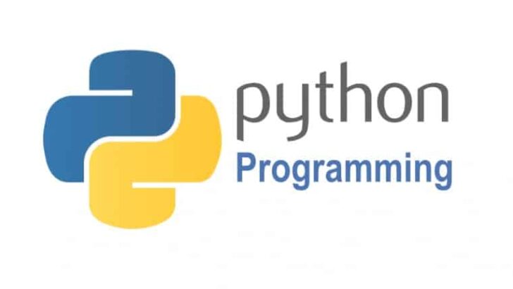 Python programlama dili nedir? Neden bu kadar önemli?